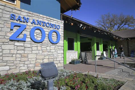 San antonio zoo - The San Antonio Zoo is offering a special Valentine’s Day greeting for exes who just won’t bug off. For $10, the zoo will name a cockroach after your not-so-special someone and feed it to an ...
